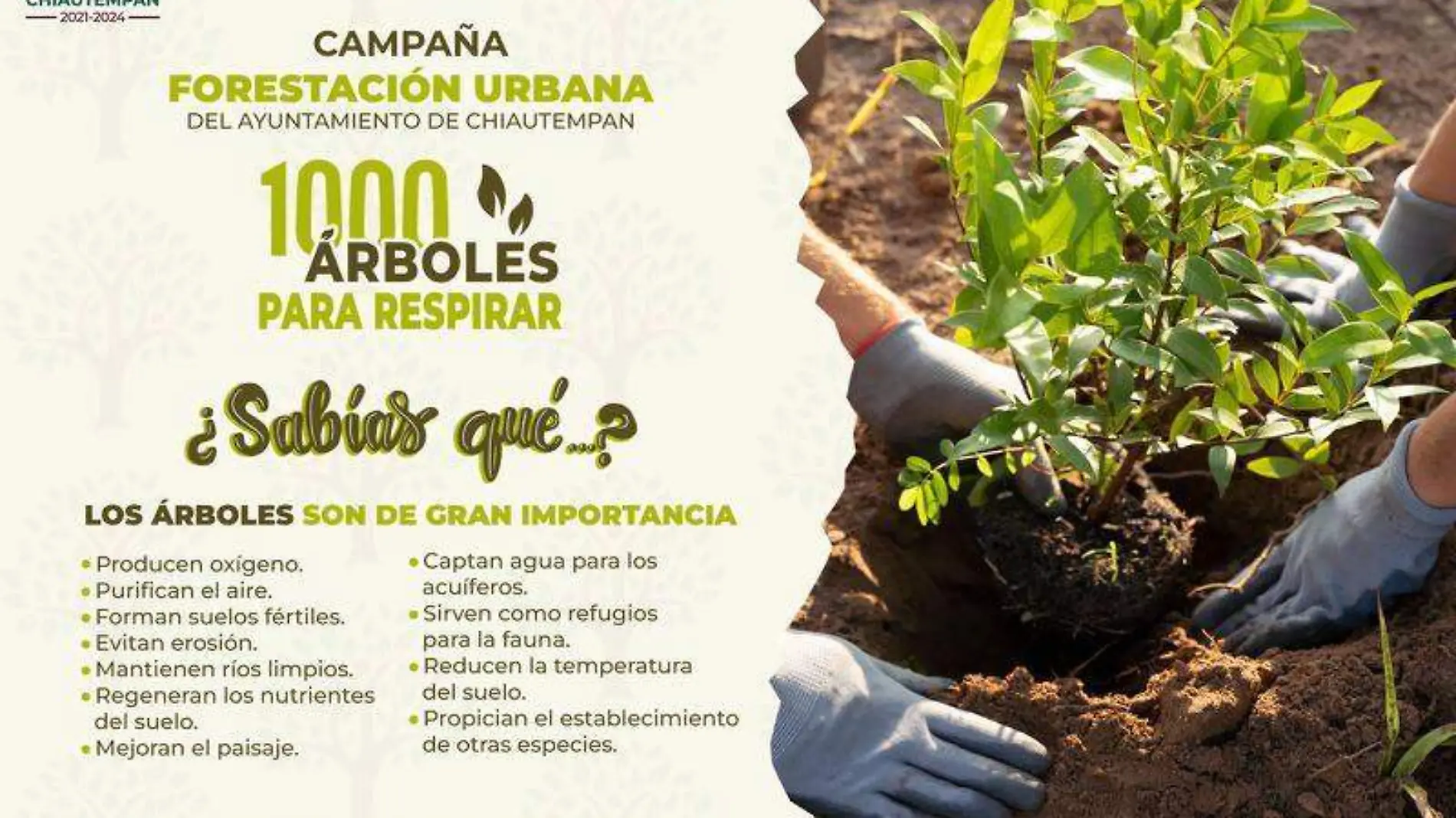 Campaña reforestación